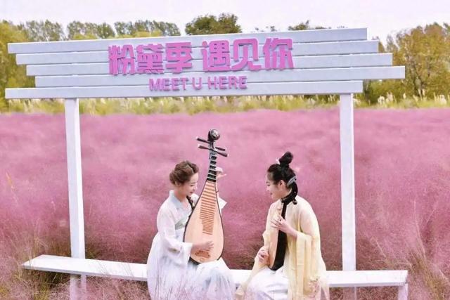 这片粉黛草和红叶，藏不住了！快来跟滕州文旅推介官打卡！