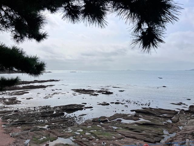 毗邻八大关，无敌海景、欧式建筑、葱郁柏树，这里一处宝藏景区。