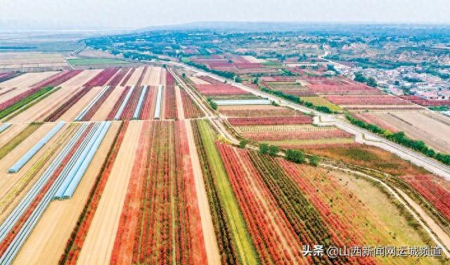 黄河一号旅游公路初冬景更浓