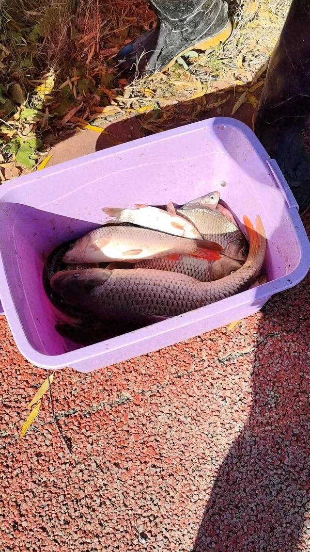 人情往来，有来有往，情意绵长