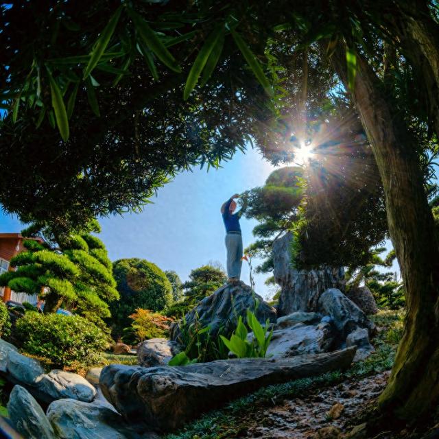 看烟花、观花海、造微缩园林......去柏加镇感受8种趣味玩法