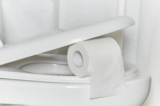 上厕所，坐着好还是蹲着好？最佳姿势竟然是……