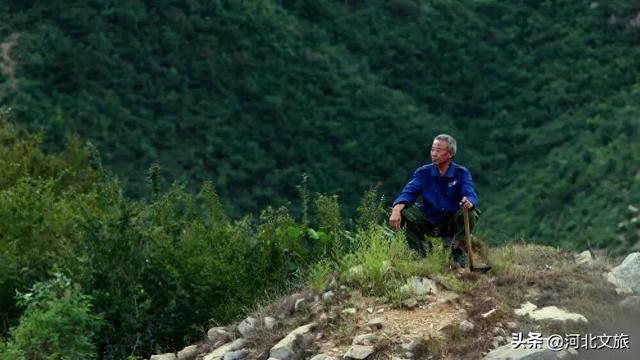 长城"活地图":我伴长城走半生