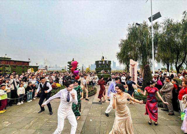 金秋菊海邂逅“知音” 市民直呼惊喜