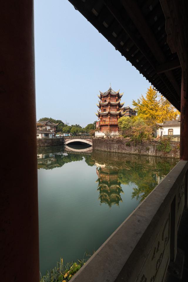 独爱成都百花潭！800 年银杏染秋，登散花楼解锁城市安逸时光