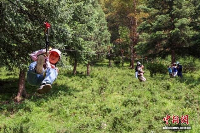 祁连山的“新友与故交”：体验守护多样生态之美