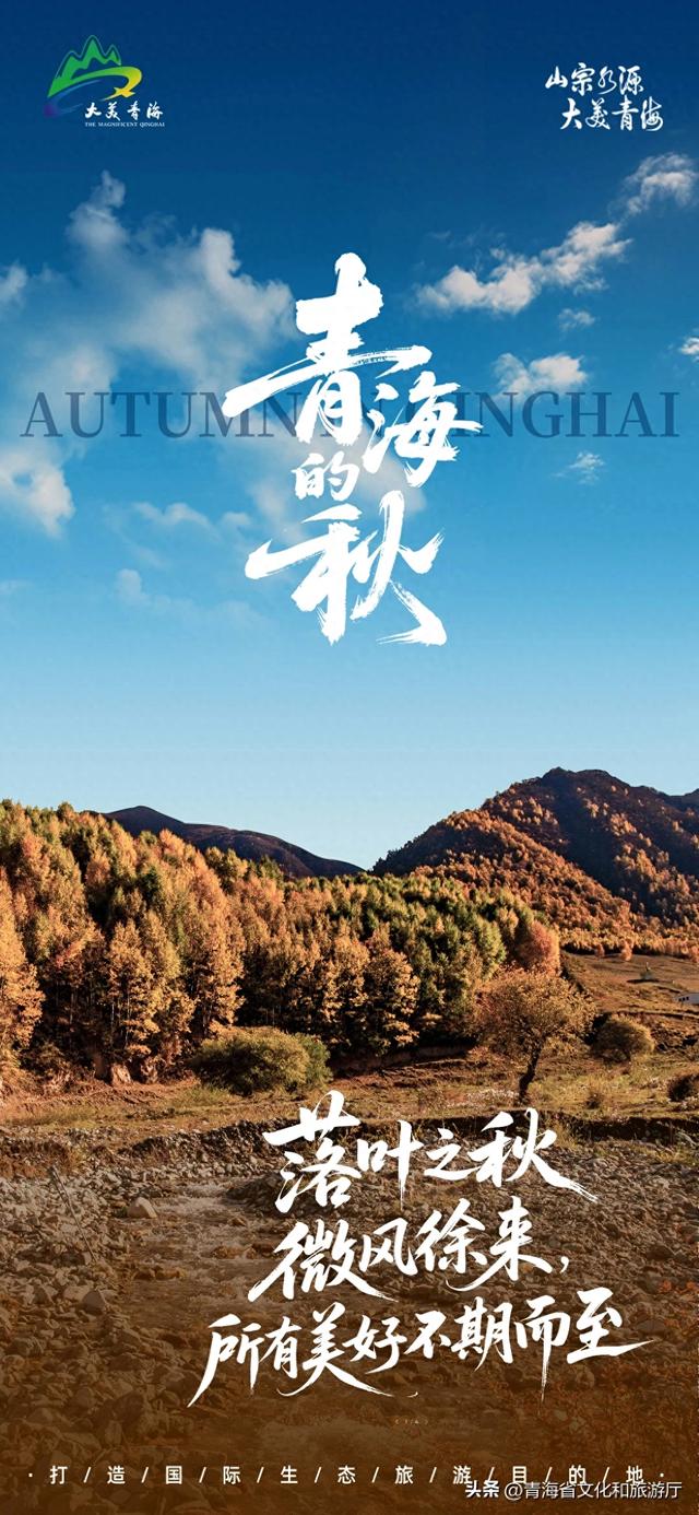 【秋日青海】落叶之秋 微风徐来 所有美好不期而至