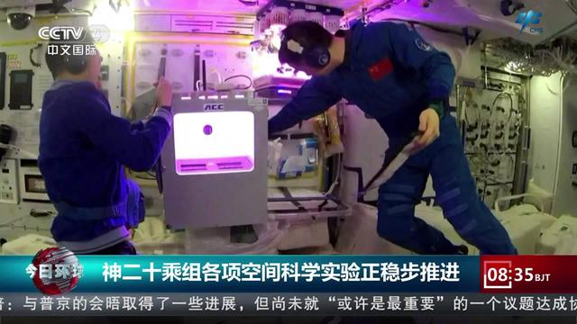 太空农场再升级：中国空间站启动新一轮植物栽培