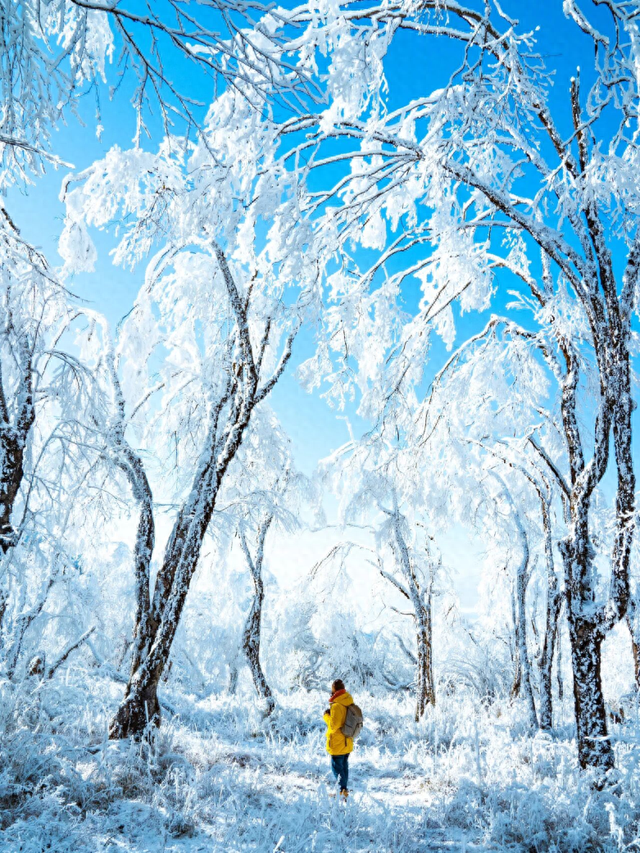 【雪景预告】看雪不必出远门！雅安的冬天超超超美！