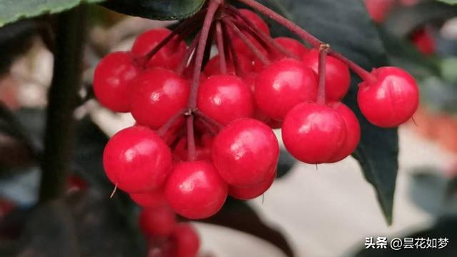 退休了咋不享清福？我带老伴摩旅3年，发现3个“绊脚石”特真实