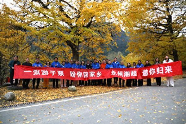 高铁连京永湘超引客来|北京企业家打卡双牌桐子坳共探合作新机遇