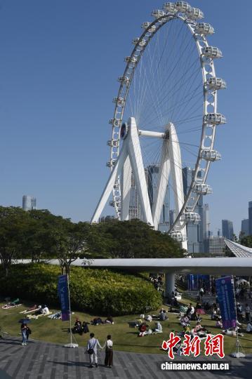 广东深圳天气晴好 民众享受冬日时光