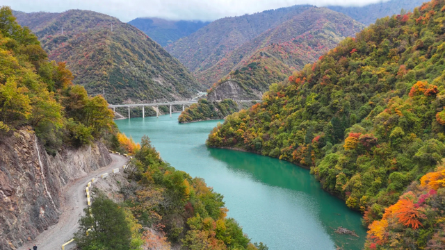 比光雾山好看，比米亚罗便宜！成都4h直达小众彩林0门票，红遍了
