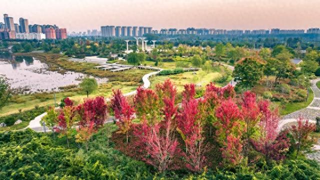 图说遂平：风轻叶渐红 秋深色愈浓