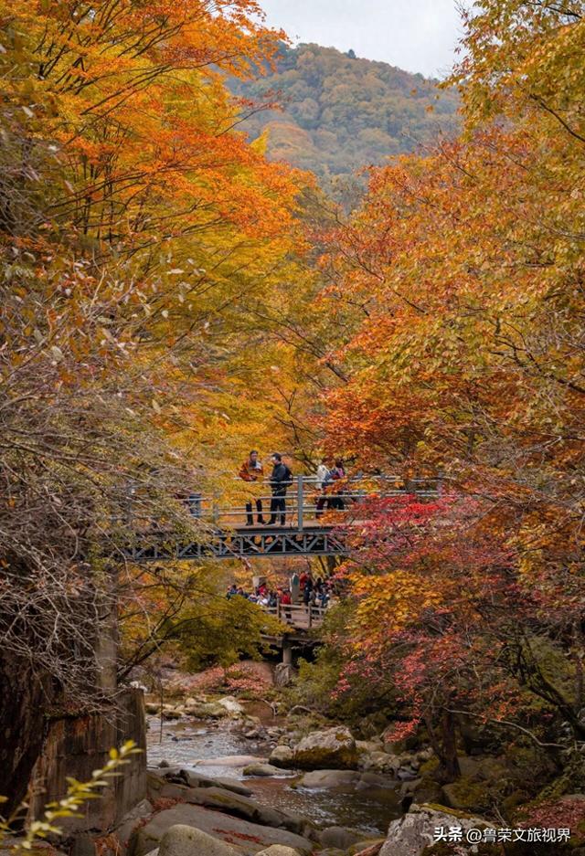 光雾山：川陕腹地的红叶秘境与千年回响