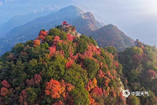 重阳节：登高望远 尽览万山秋色