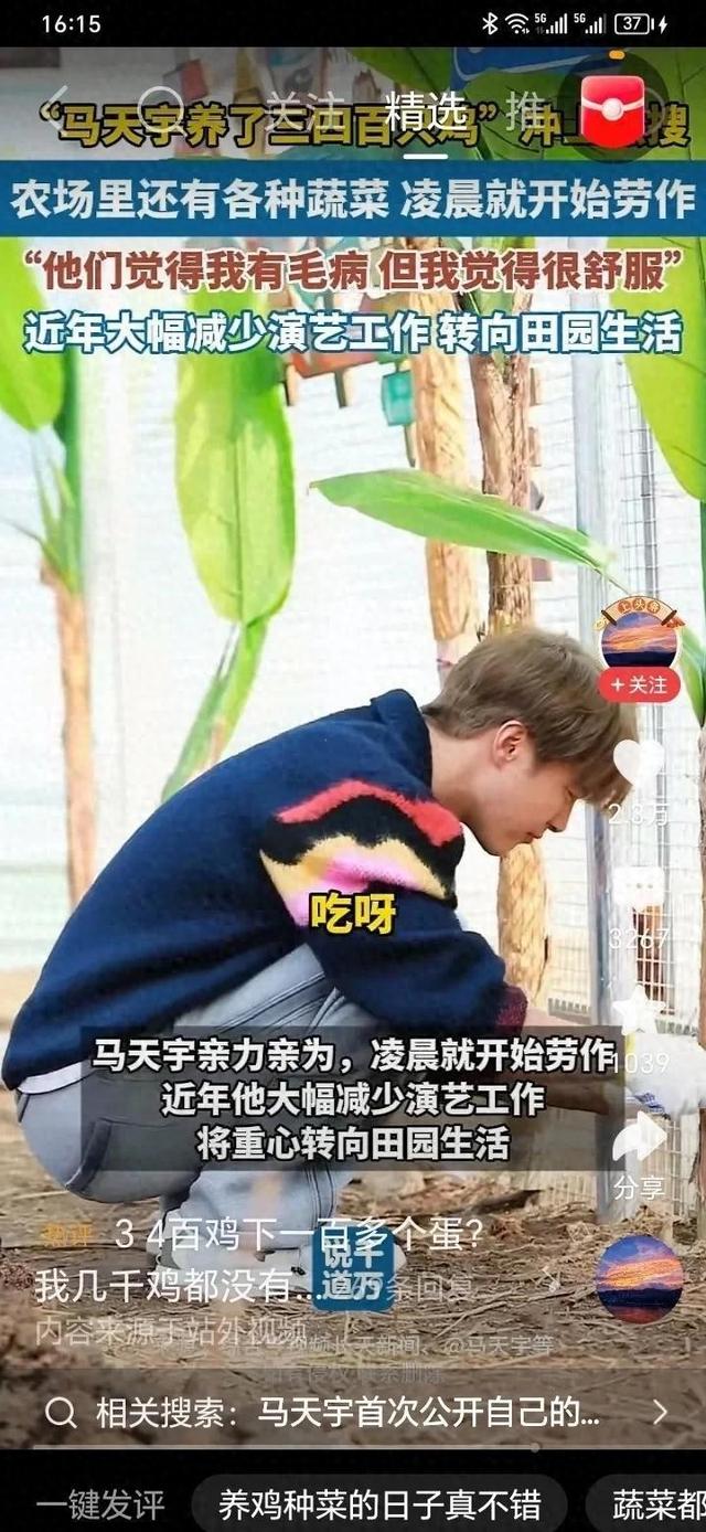 兜兜转转几十年才发现，人生的最终归宿还是田园