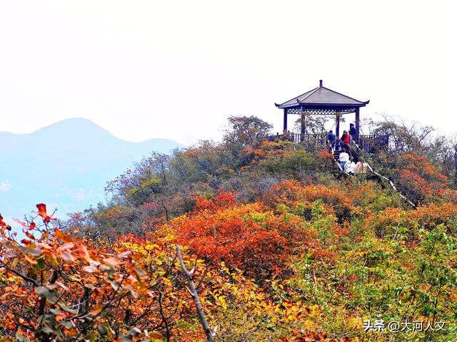 赵庄：红叶与五彩步道交织的秋日盛景