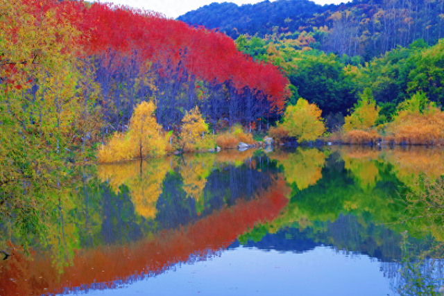 小红书上都在问地址？威海这个红枫湖美成画