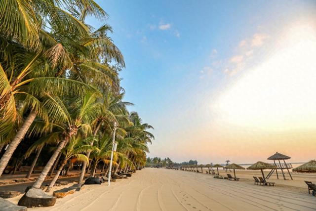 读懂城市丨“隐秘”的湛江，再也藏不住了