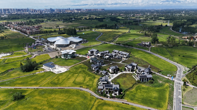 蝶变“浪漫经济” 郫都区打造婚恋产业新高地