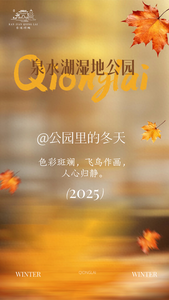 冬崃｜在泉水湖湿地公园，收藏整个冬天的浪漫与生机~