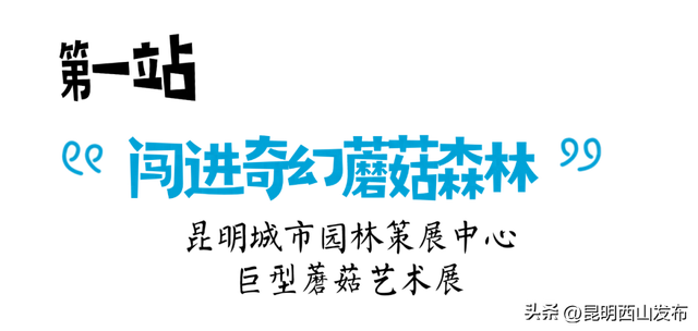 别猜了！昆明潮人的周末朋友圈，都被西山区承包了！