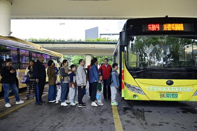 秋日溜娃新选择！郑州“四季寻鲜”周末采摘路线来了