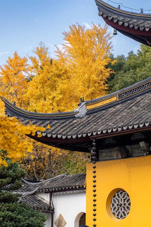 姑苏早点来丨一碗素面，一院金黄