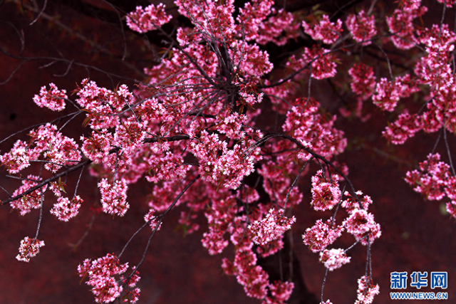 栖于云南山水 安于非遗烟火