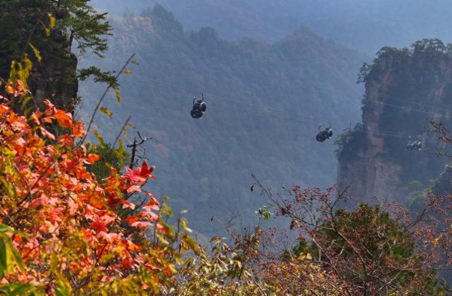 湖南张家界：色彩斑斓天子山