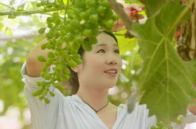 “采摘体验”推动农文旅融合