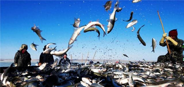 最新发布！赤峰共计9条线路！