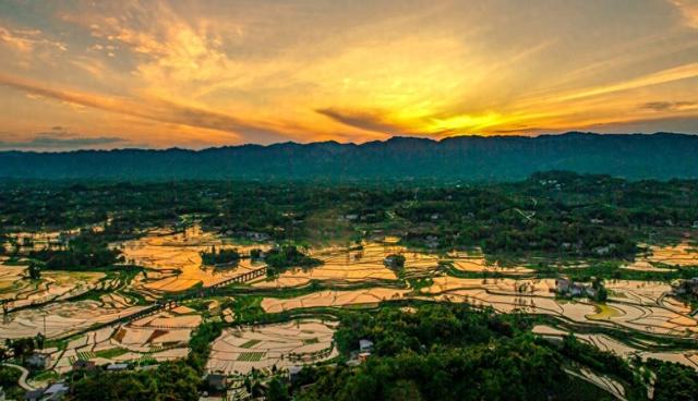 小微湿地+文化寻踪 梁平解锁“城市绿色客厅”生态人文密码