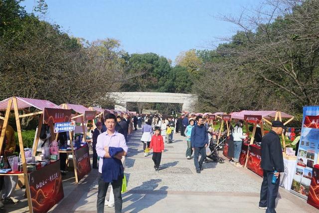 红色基因融创意 雨花台上绽新彩