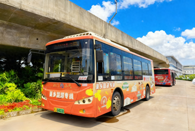 跟着赛事游新会！葵乡专线解锁“赛事+文旅”双重精彩