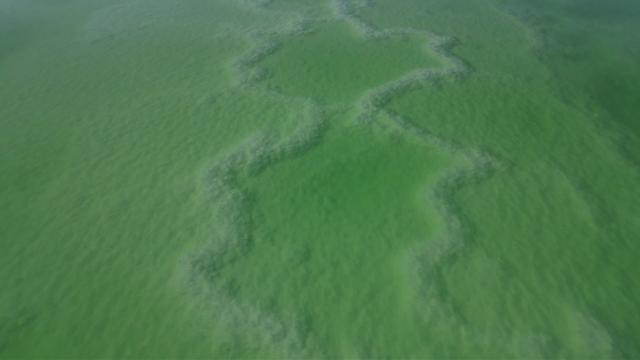 新疆罗布泊盐湖初冬美如翡翠