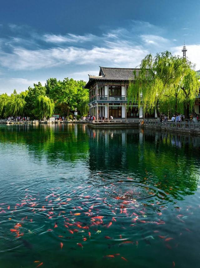 五龙潭八景·泉城秘境图鉴 | 邀您共赴一场穿越千年的诗意之旅！