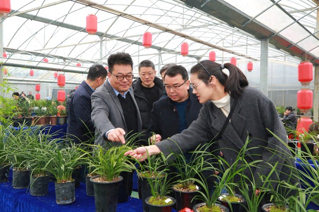 解锁春日限定浪漫 漓渚春兰大集即将举行