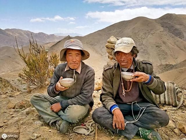 高原泡温泉竟与蛇共浴？当地人：那是药蛇别怕