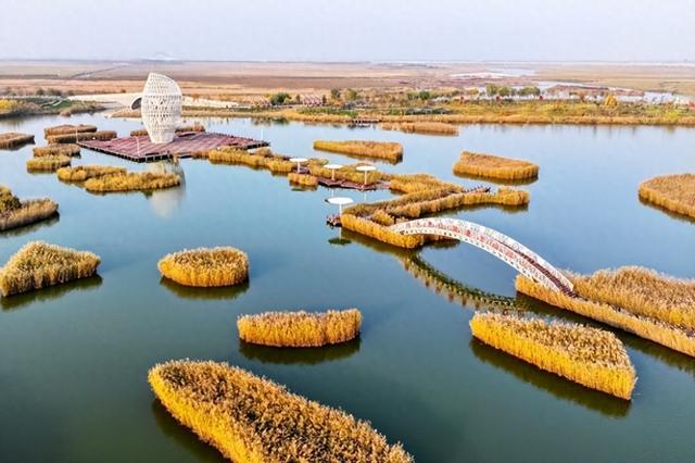 【潍坊寿光】巨淀湖畔好风光 生态画卷入眼来
