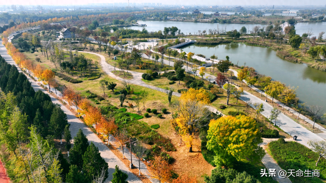商丘：一城斑斓入画来