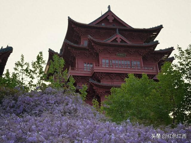 紫藤飞瀑映古楼！宜春多胜楼绘就春日醉美文旅画卷