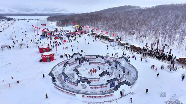 11米高“糖葫芦树”现身呼伦贝尔啦！