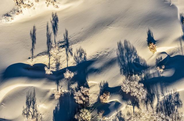 美丽中国丨额济纳：晚秋胡杨美