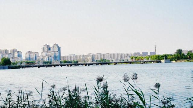 一场采风之旅，让广饶“出圈”了！