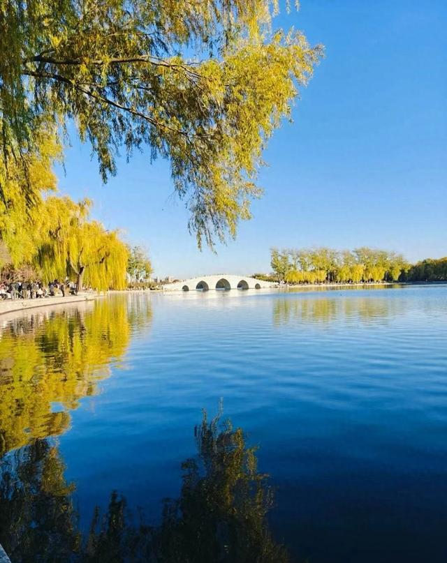 跑步，是一场与自己的诚实对话