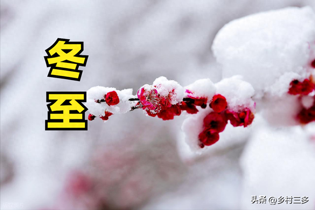 “有雪无雪，就看冬至”，今日冬至，今冬雪多冷到哭？看农谚咋说