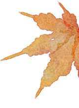 五彩斑斓！北京“漫山红叶”进最佳观赏期!