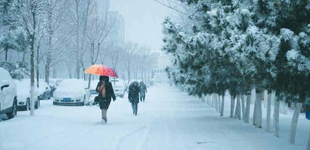 赏雪不必去东北，中国东海岸“威海雪窝”有奇景